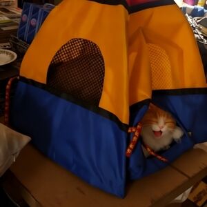 Build A Bear Rare Unique Pet Palace Tent For Furbaby Cat Small Animal Dog Gift
